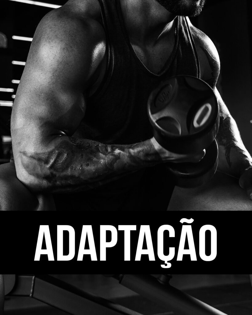 ADAPTACAO-1